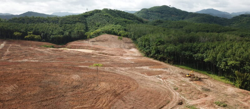 tackling-deforestation-risk-in-financial-portfolios