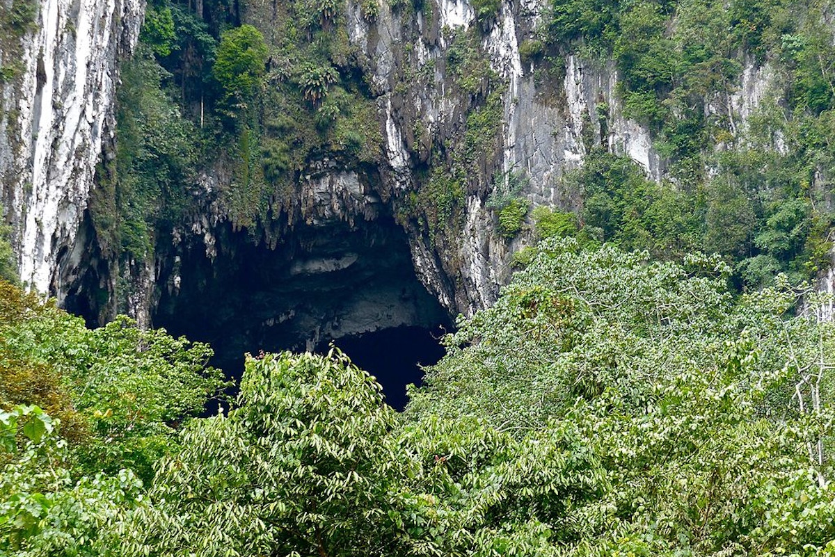 sarawak-forest-carbon-projects-face-pushback-over-indigenous-land-rights