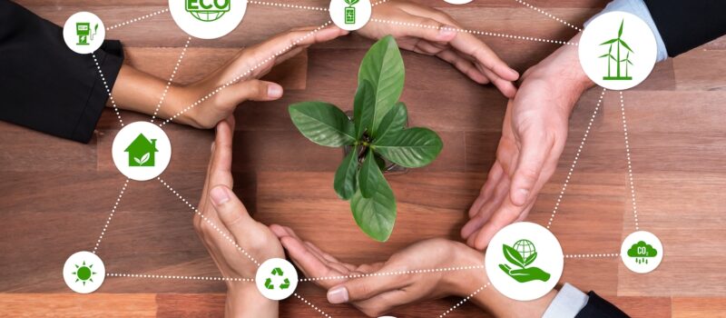 make-the-internal-business-case-for-sustainability-investment