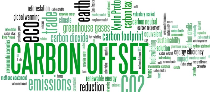 white-house-issues-7-new-‘principles’-to-restore-integrity-to-carbon-markets