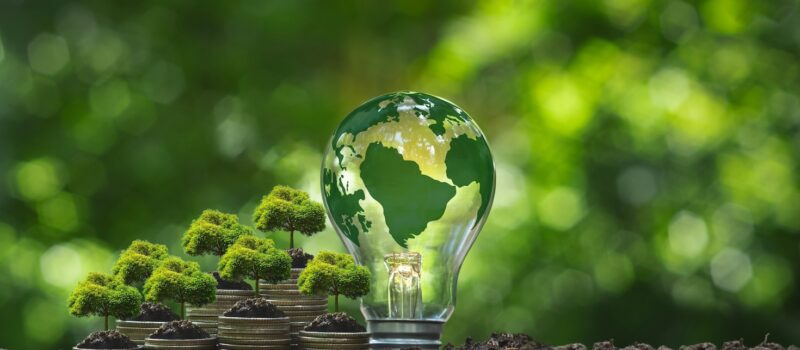 4-tips-to-build,-scale-a-world-class-asset-management-sustainability-strategy