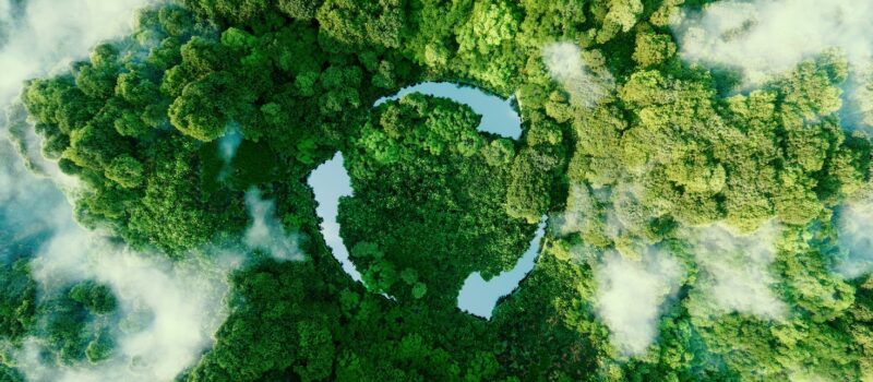 science-based-targets-network-taps-independent-reviewer-for-nature-related-goals