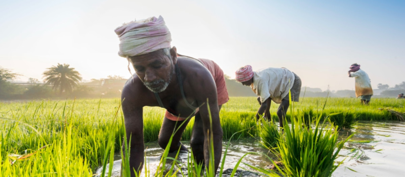 india-gives-people-legal-protection-against-climate-change,-but-will-big-polluters-be-held-to-account?