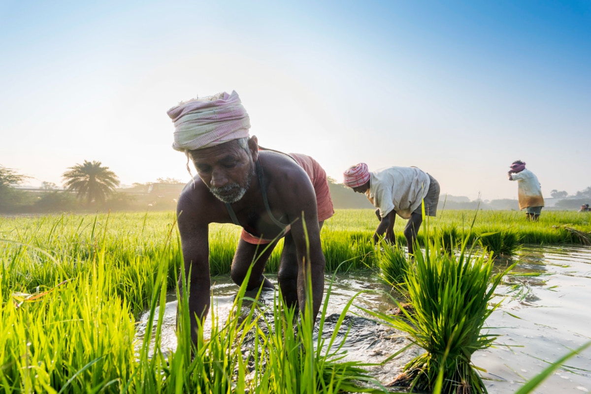 india-gives-people-legal-protection-against-climate-change,-but-will-big-polluters-be-held-to-account?