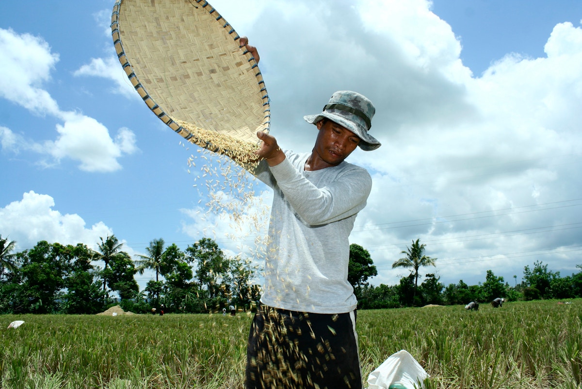 low-carbon-economy-bill-under-review:-is-the-philippines-ready-to-pay-for-its-decarbonisation-goals?