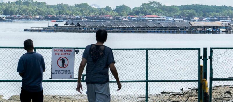 in-numbers:-singapore’s-uphill-push-to-raise-food-production-volume