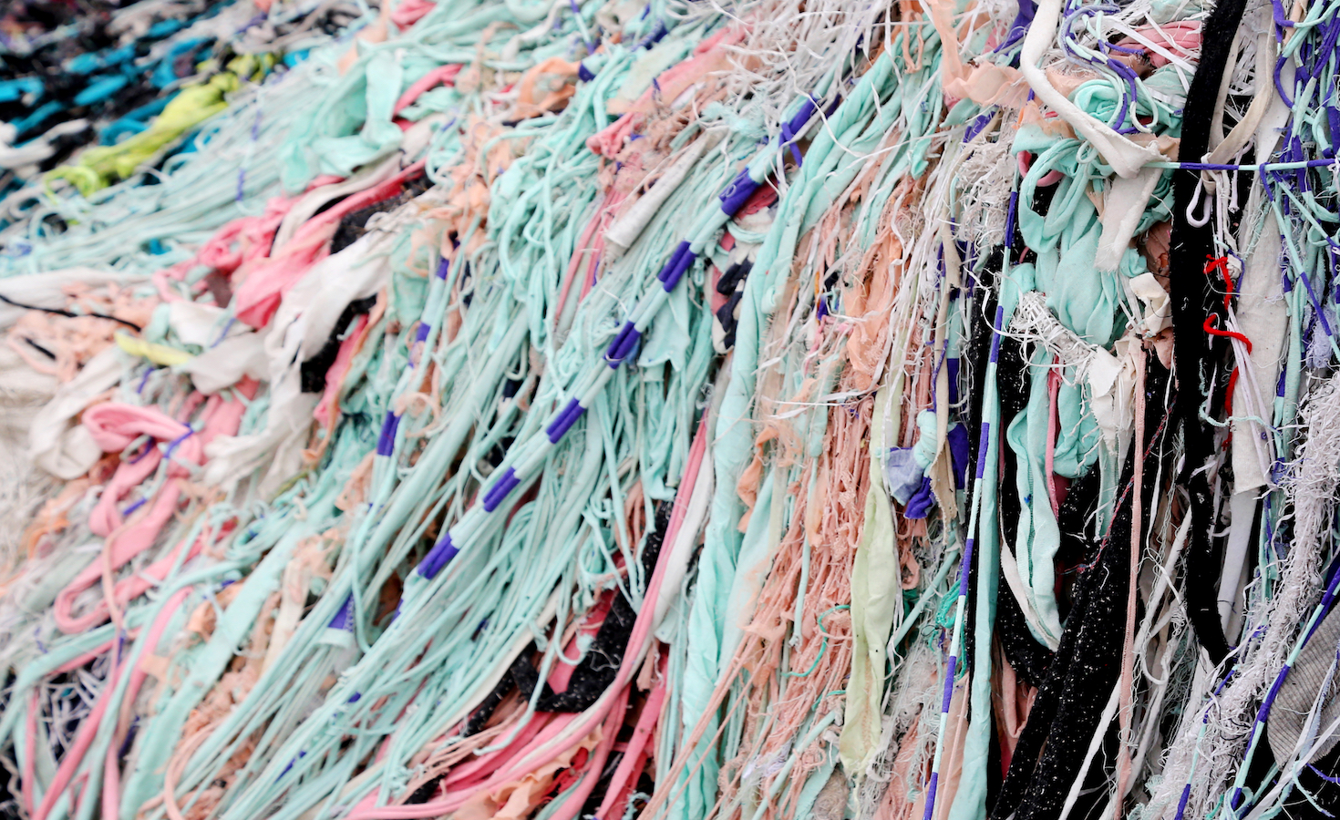 circular-textile-‘phoenix’-renewcell-is-bought-out-of-bankruptcy