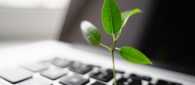 here-are-3-ways-to-cultivate-your-sustainability-culture