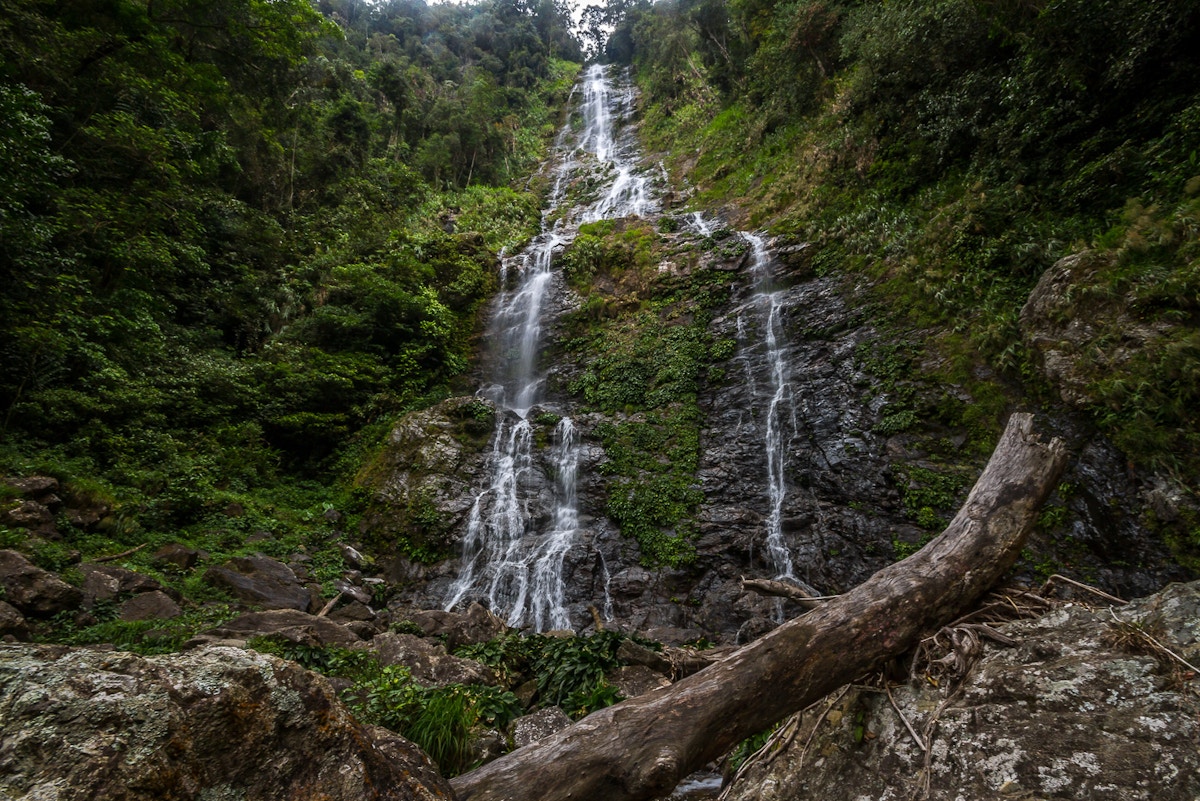 bright-spark-in-a-dull-market?-optimism-precedes-malaysia’s-first-forest-based-carbon-credits