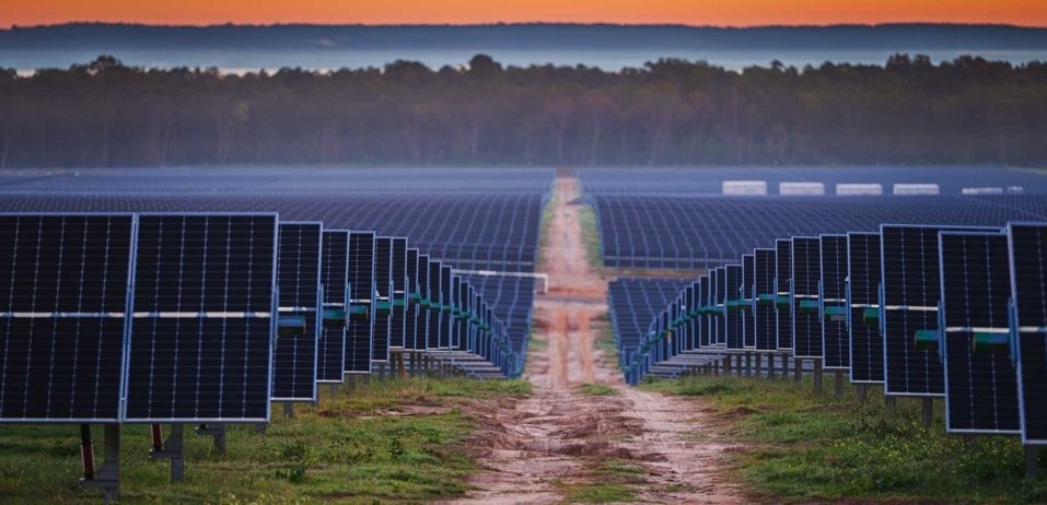 kernza-meets-agrivoltaics-to-turbo-boost-rural-solar-development