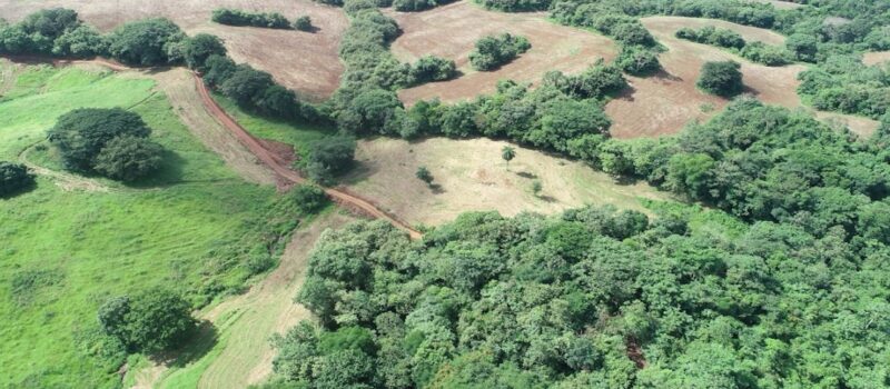 inside-microsoft’s-panama-tropical-forest-carbon-offtake-deal