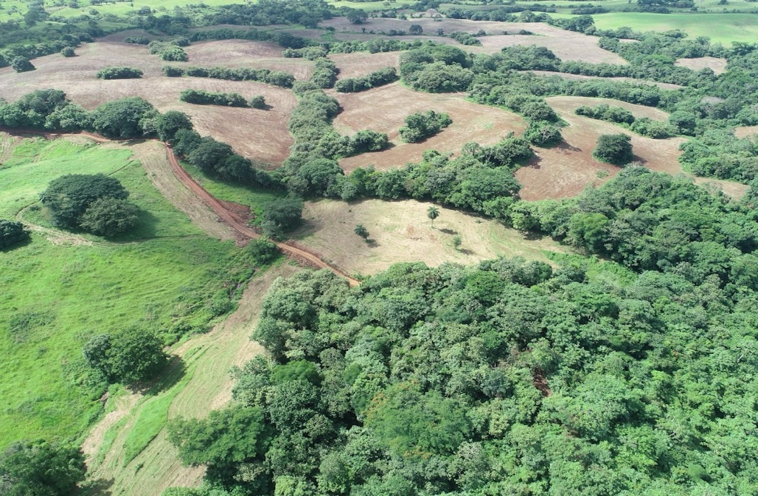 inside-microsoft’s-panama-tropical-forest-carbon-offtake-deal