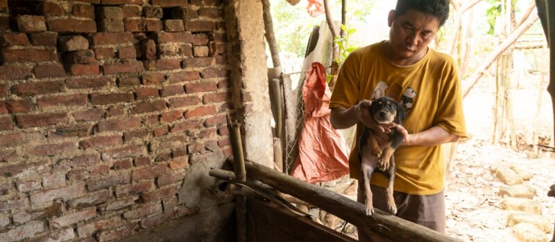 puppy-fattening-farmers-switch-trades:-is-an-end-in-sight-for-vietnam’s-dog-meat-market?
