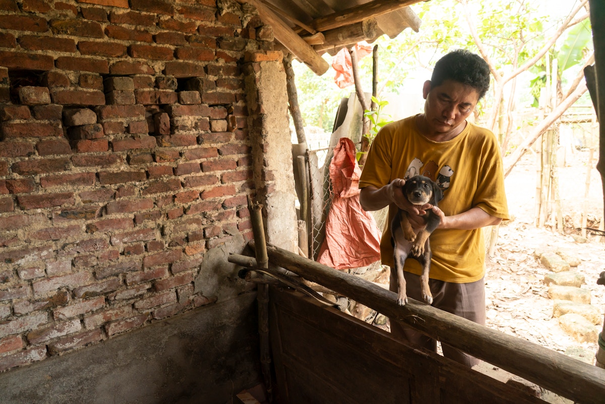 puppy-fattening-farmers-switch-trades:-is-an-end-in-sight-for-vietnam’s-dog-meat-market?