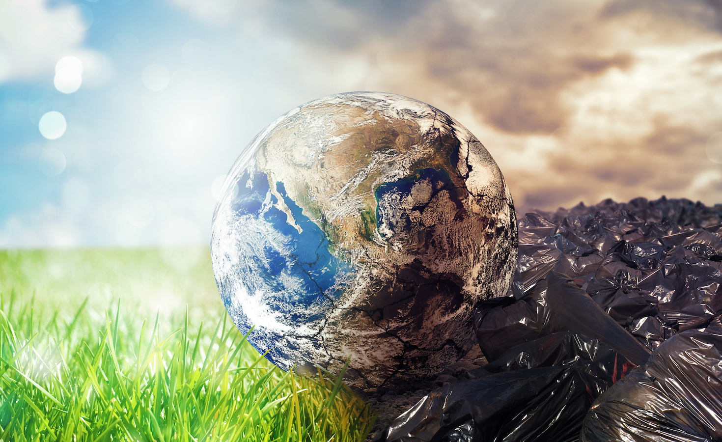 6-ways-to-tackle-the-damage-plastics-are-doing