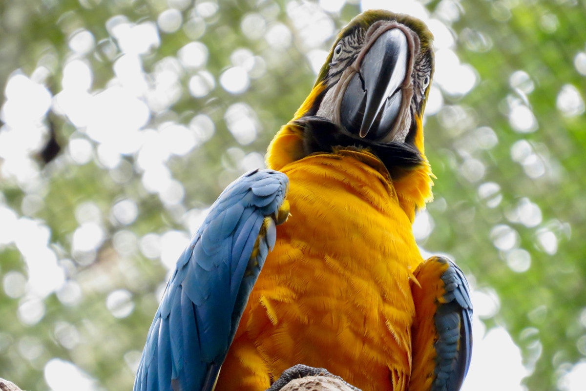 top-banks-‘bankrolling-destruction’-in-amazon,-says-report