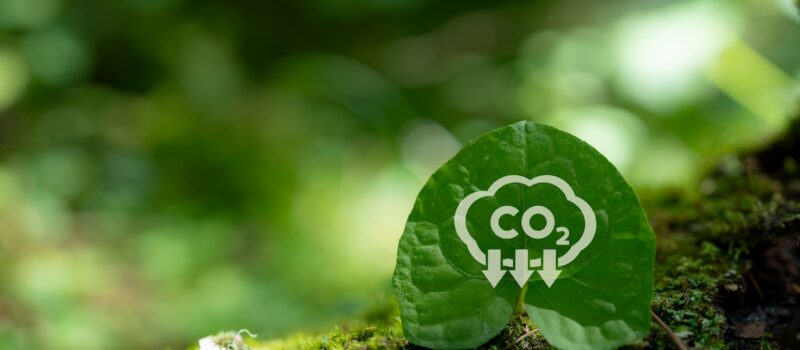 a-new-model-for-additionality-can-steer-carbon-markets-to-a-sustainable-future