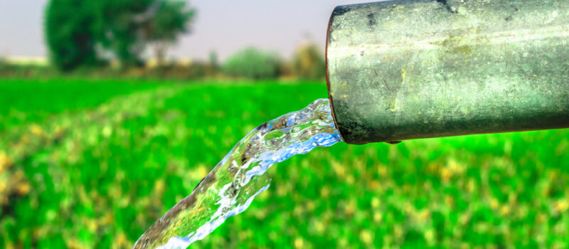 how-the-food-industry-is-working-to-protect-freshwater-ecosystems