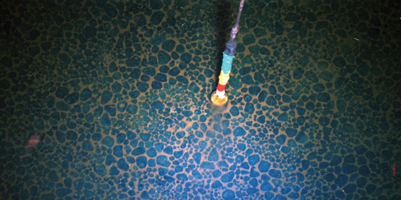 massive-trove-of-manganese-discovered-in-the-sea:-implications-for-ev-batteries