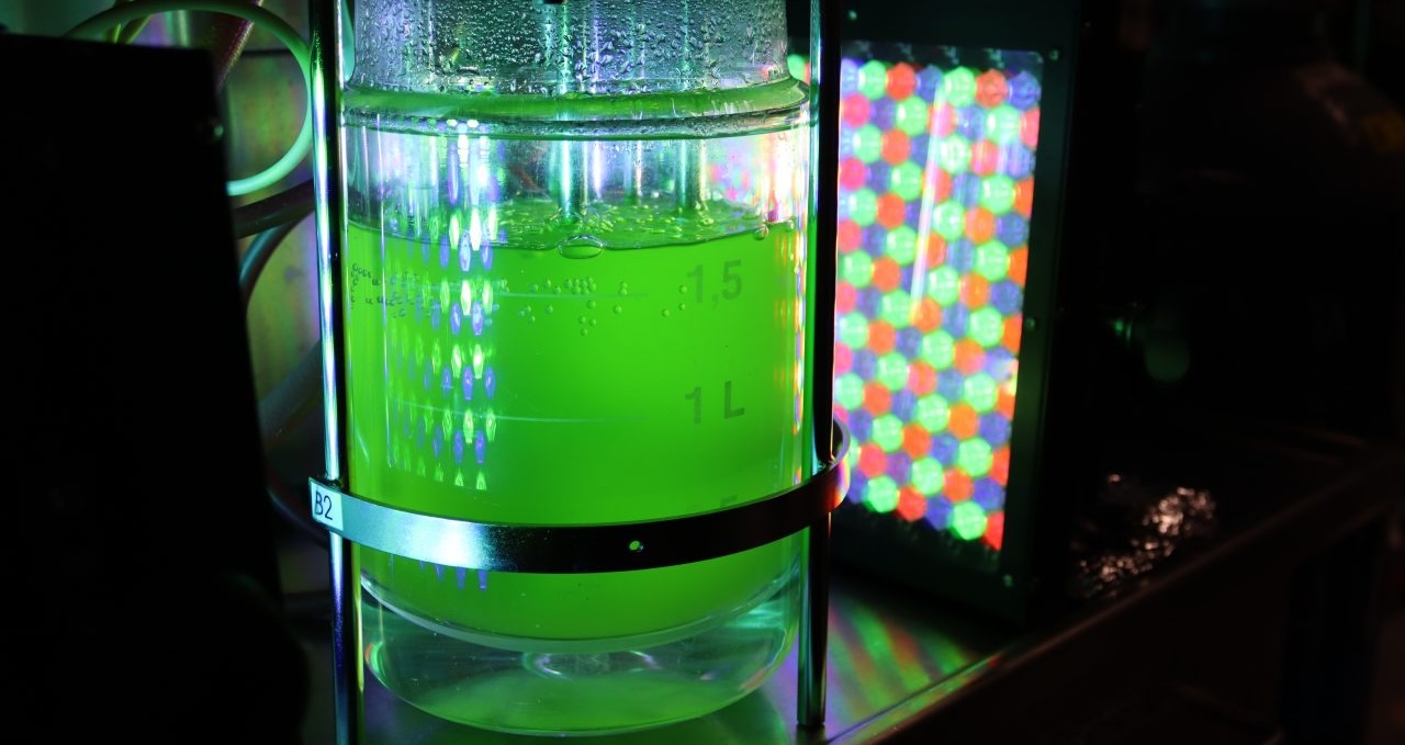 algae-biofuel-fans-get-another-do-over