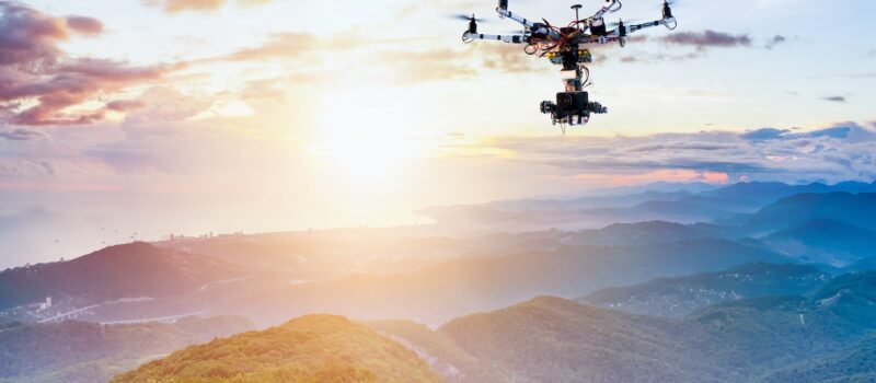 3-essential-building-blocks-for-businesses-aiming-to-protect-biodiversity