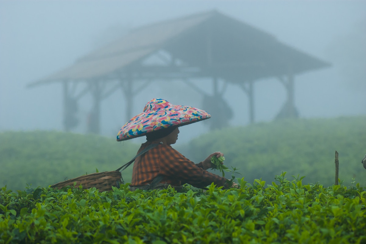 ai-can-transform-global-food-security-and-climate-action