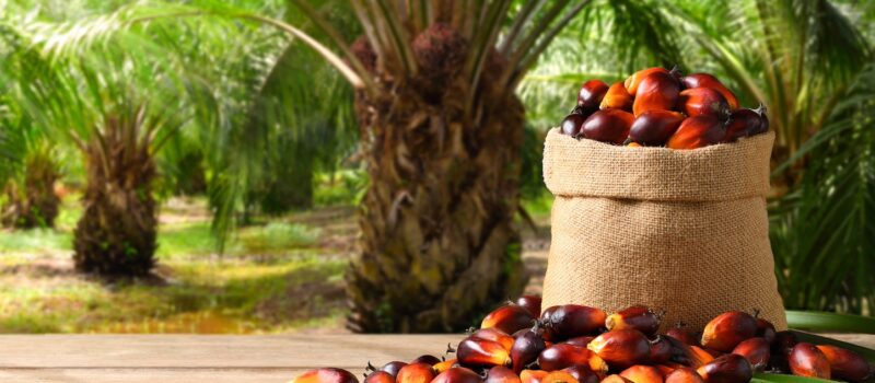 how-seventh-generation-got-unilever-to-take-a-closer-look-at-its-banks how-seventh-generation-got-unilever-to-take-a-closer-look-at-its-banks