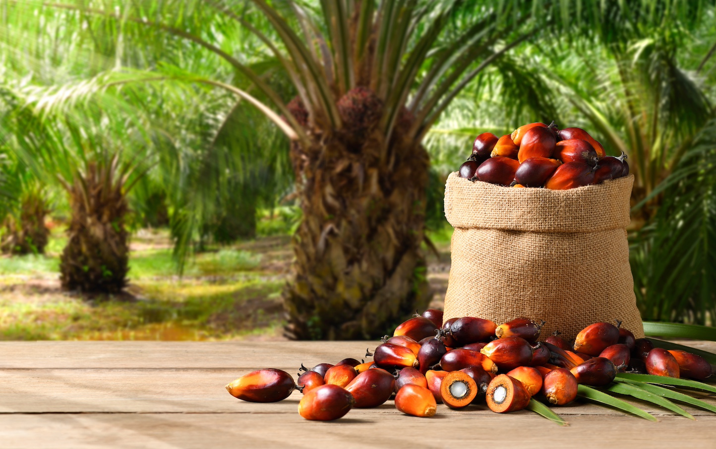 how-seventh-generation-got-unilever-to-take-a-closer-look-at-its-banks