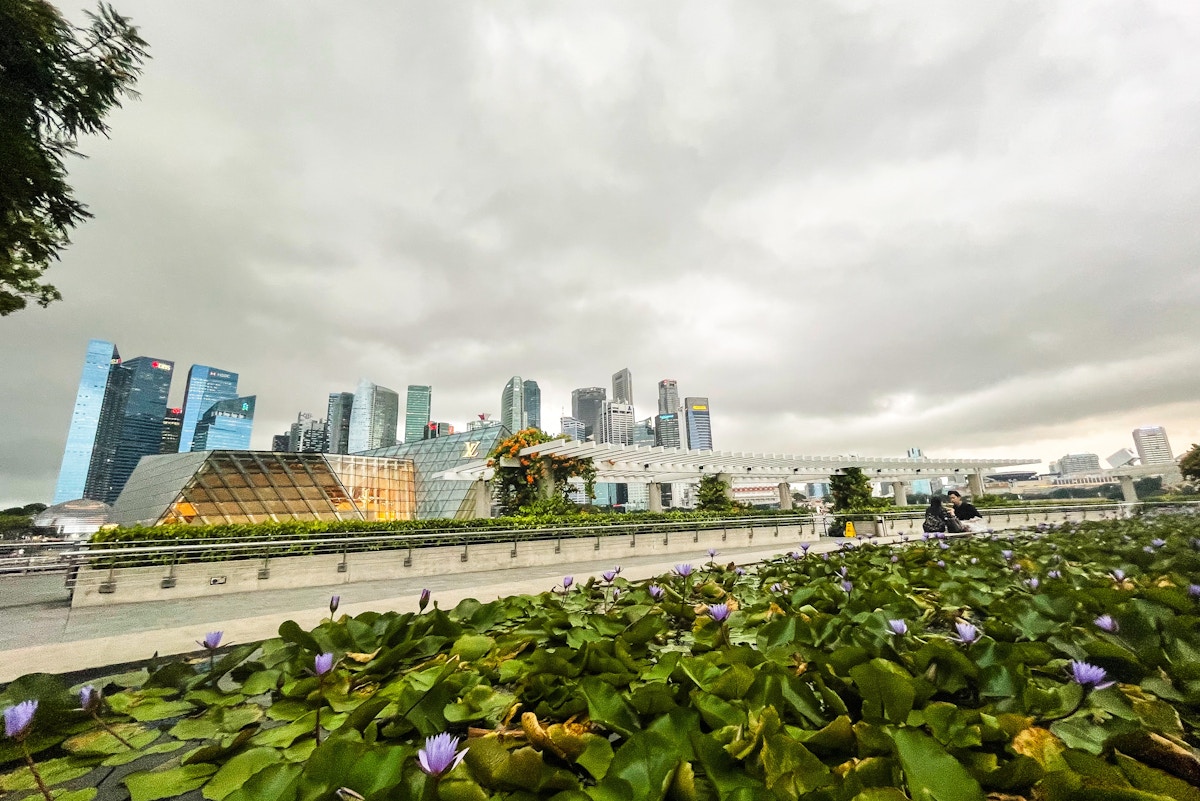 two-thirds-of-singapore-firms-are-not-confident-of-meeting-net-zero-goals:-report