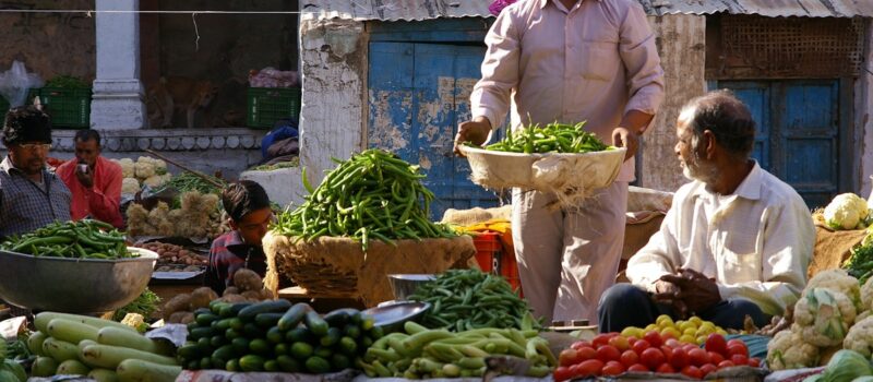 indian-heatwave-exposes-a-cooling-challenge-for-fresh-food