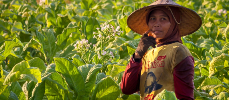 empowering-indonesian-women-farmers-in-the-face-of-climate-change