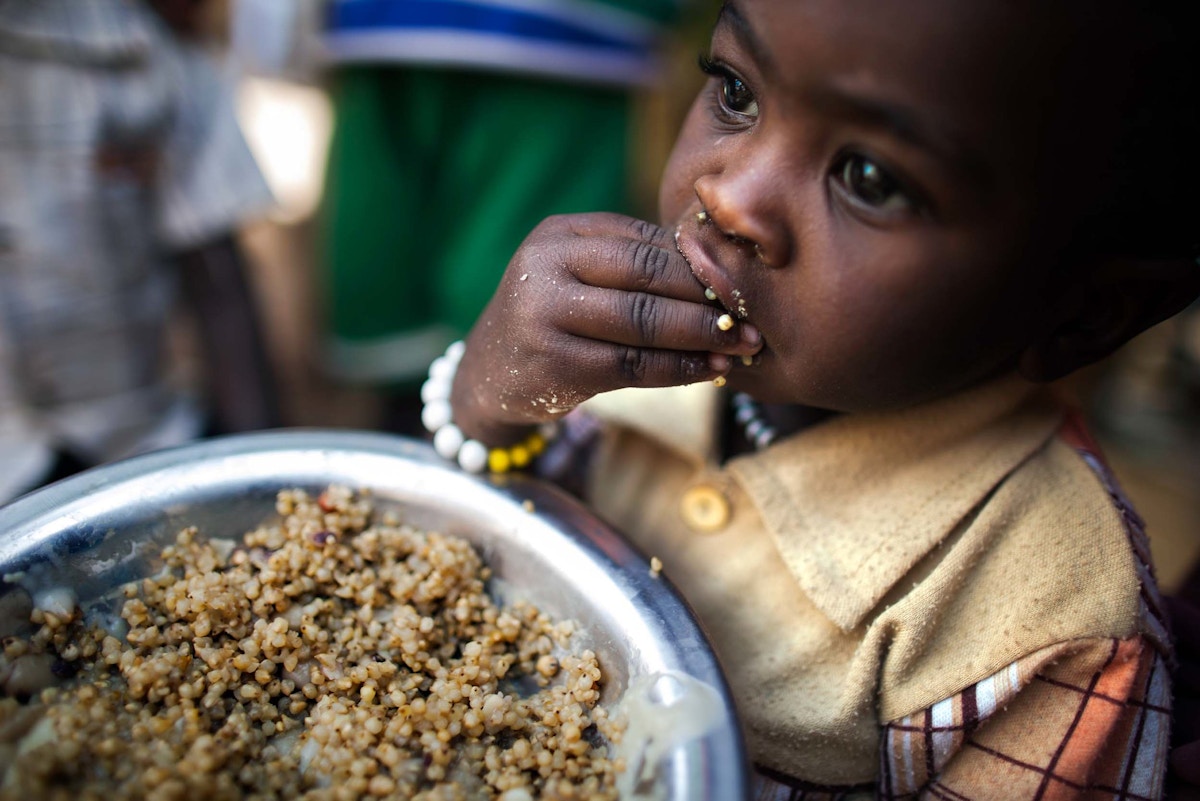 climate-and-finance-crises-could-leave-600-million-hungry-by-2030