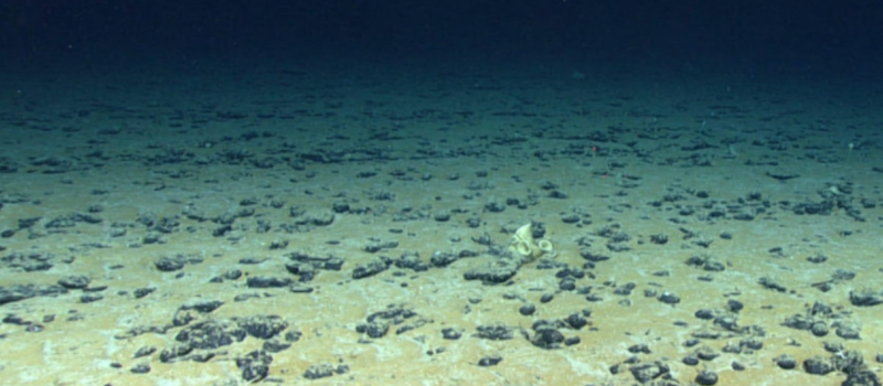 study-revealing-seabed-minerals-produce-oxygen-casts-cloud-over-critical-deep-sea-mining-negotiations