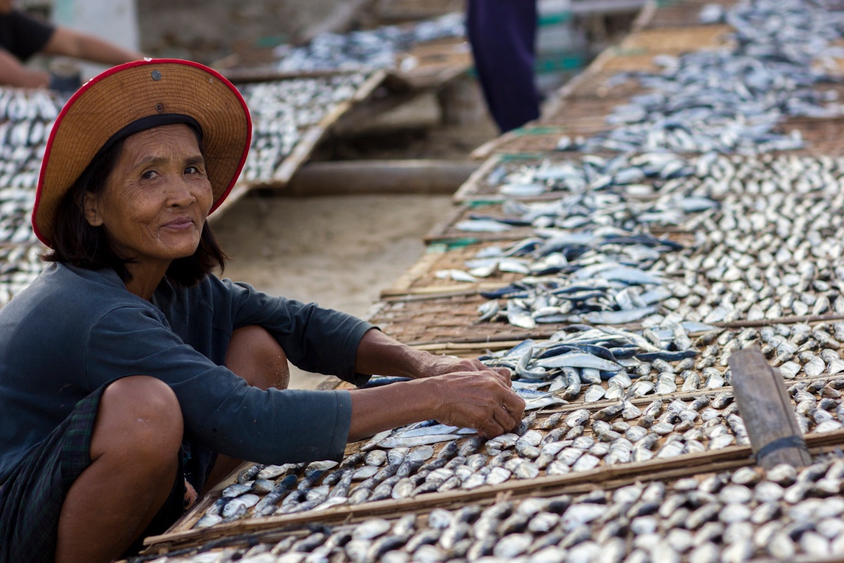 fish-face-vast-decline-if-emissions-are-not-reduced