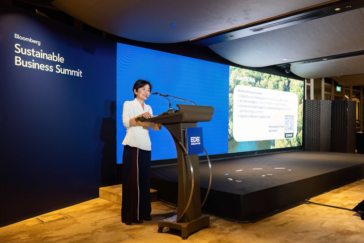 ‘as-yet,-there-are-no-credits’:-singapore-launches-new-alliance-to-source-article-6-offsets-for-high-emitters