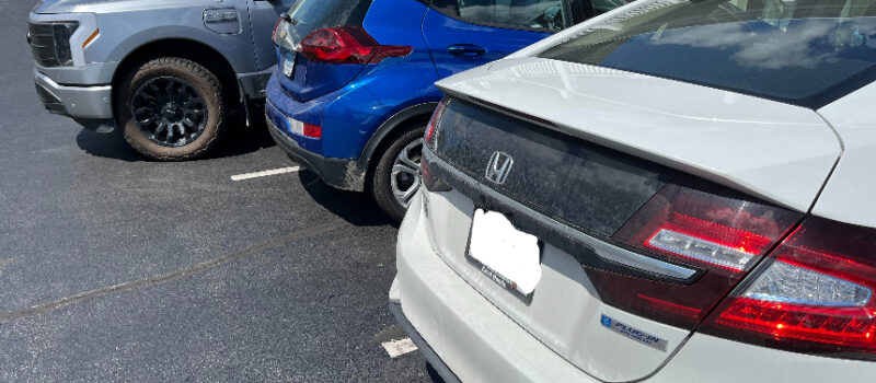 due-to-political-divisions,-the-public-remains-unaware-of-how-evs-are-gaining-popularity
