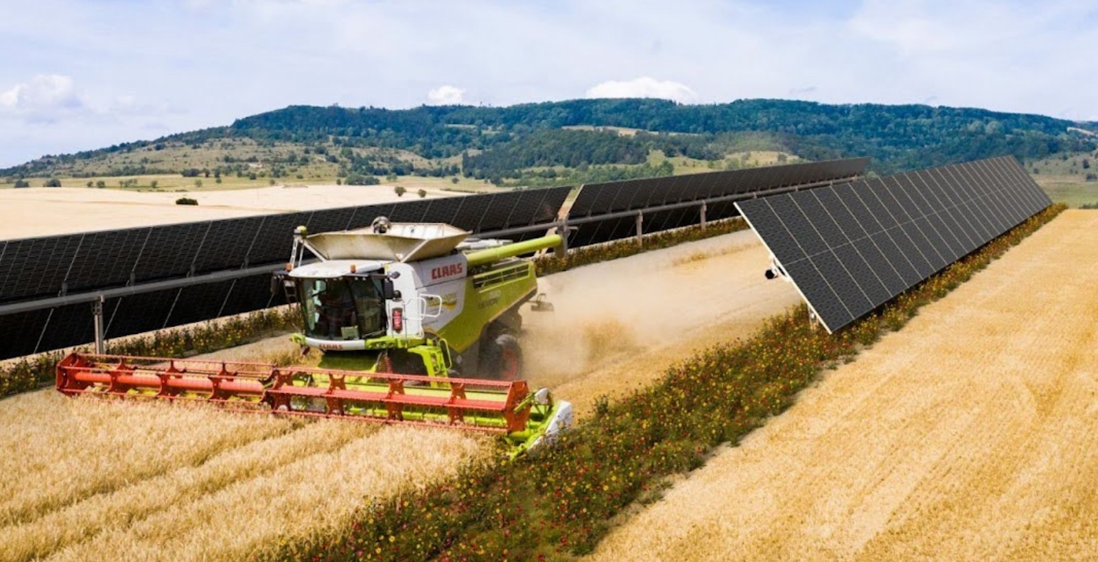 a-four-in-one-agrivoltaics-solution-for-central-europe-farm-crisis