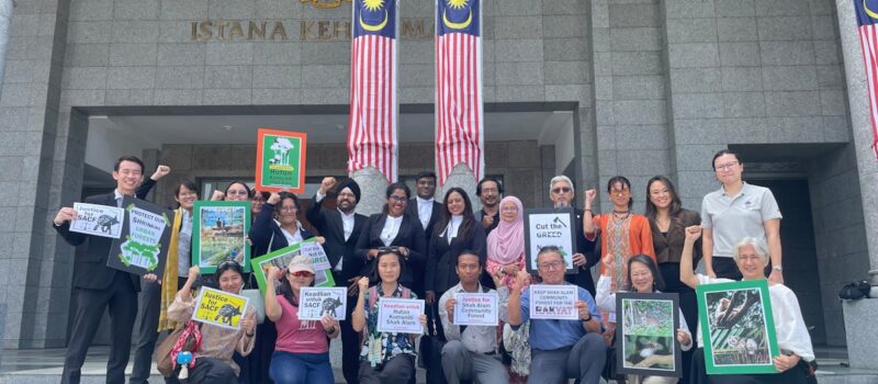 malaysia’s-top-court-allows-ngos-to-challenge-state-government-on-forest-degazettement malaysia’s-top-court-allows-ngos-to-challenge-state-government-on-forest-degazettement