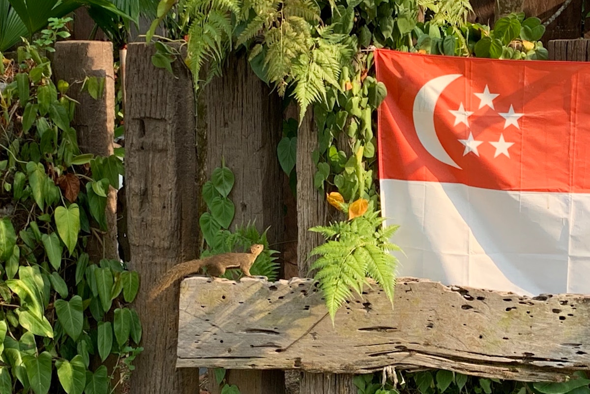 trust-issues,-lack-of-verifiable-credits-slowing-investment-in-singapore’s-carbon-market:-study