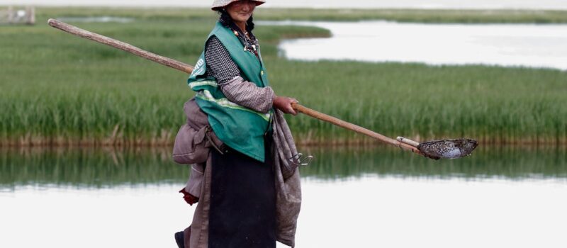 china’s-changing-fisheries,-in-numbers