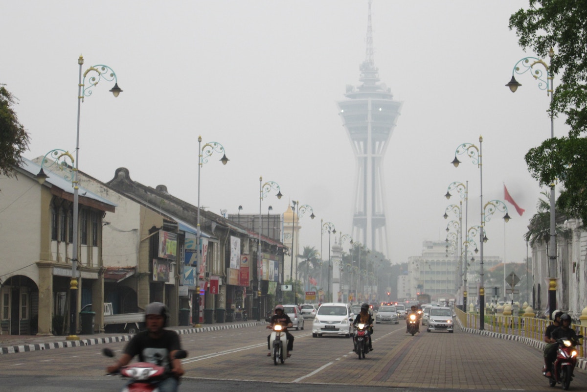 ozone-pollution-shrinks-tropical-forest-growth