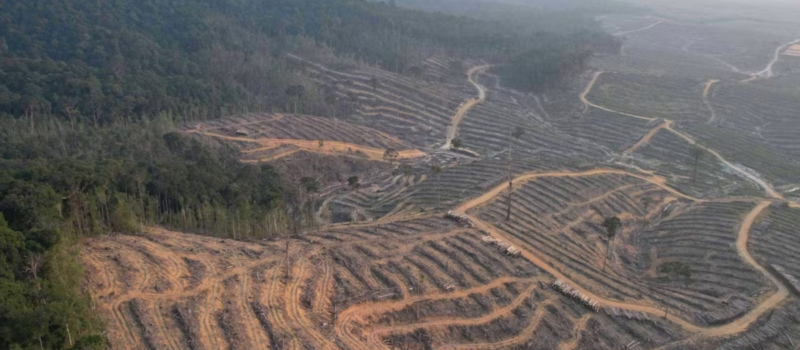 industry-pressure-stalls-eu-anti-deforestation-law-rollout;-ngos-call-delay-‘an-act-of-nature-vandalism’ industry-pressure-stalls-eu-anti-deforestation-law-rollout;-ngos-call-delay-‘an-act-of-nature-vandalism’