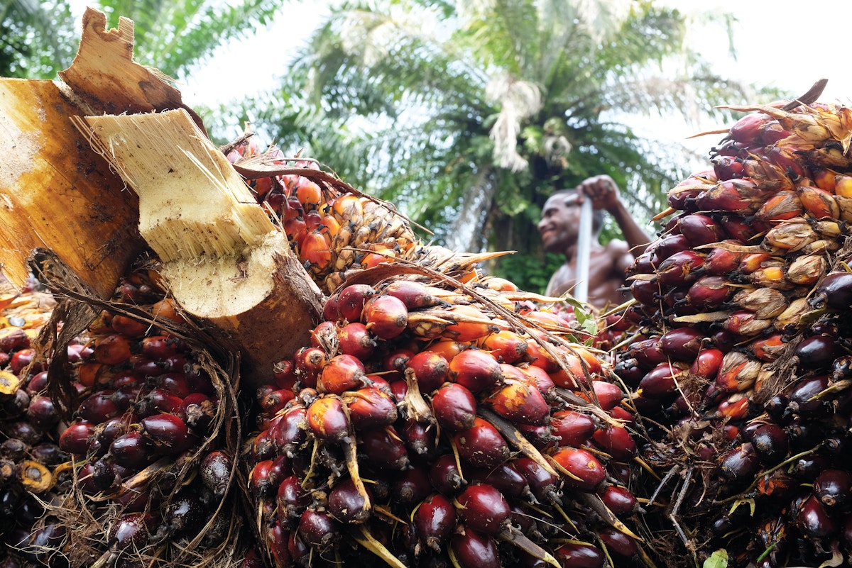 tech-key-to-reducing-scope-3-palm-oil-emissions-in-malaysia-amid-increasing-regulation:-industry-watchers