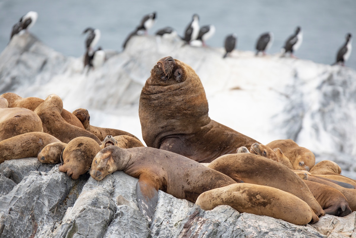 scientists-are-becoming-ocean-hitchhikers-to-fill-data-gaps